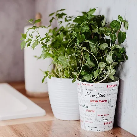 Eu 